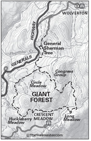 Sequoia: Deeper into Giant Forest
