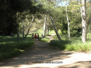 From Griffith Park's Vermont Canyon entrance, the trail leads through a sycamore grove. 
