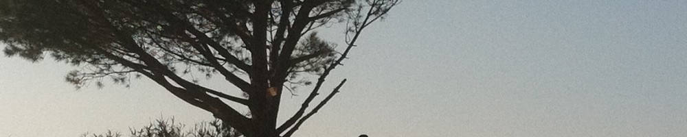 Cahuenga Peak and the HOLLYWOOD Sign