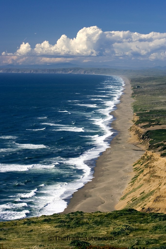 Point Reyes, a haven for birds, heaven for hikers.