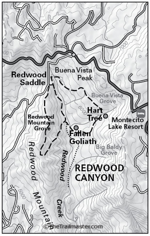 Sequoia: Redwood Canyon