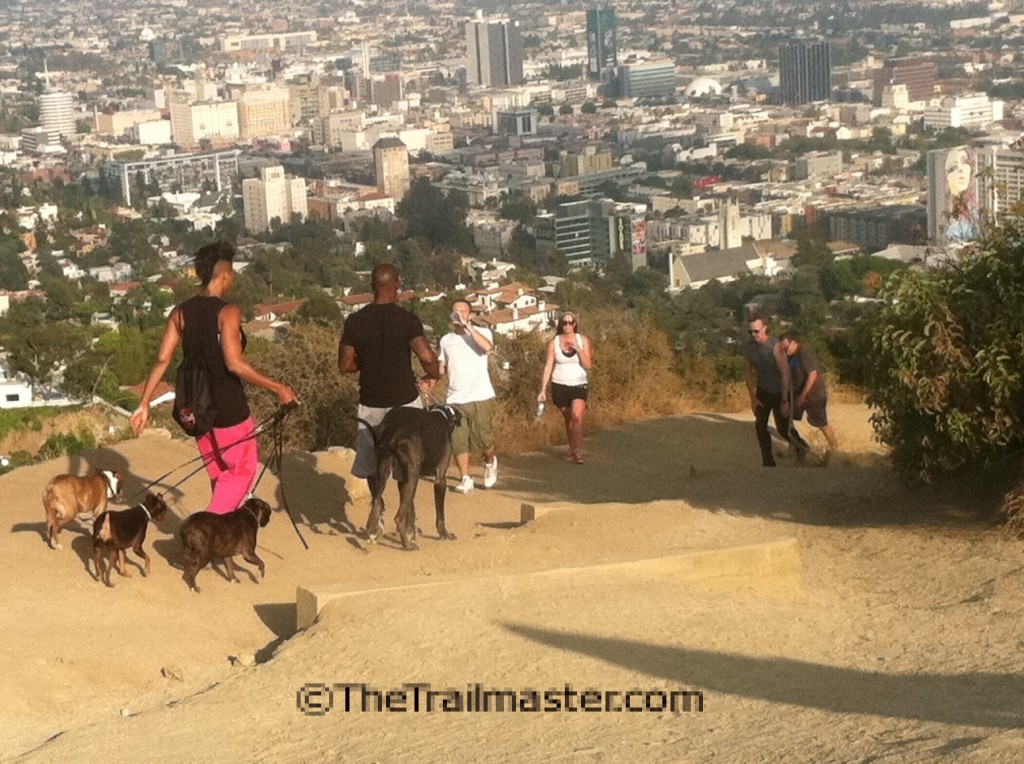 Griffith Park Runyon Canyon Park - Runyon Canyon Social Scene 1024x764 