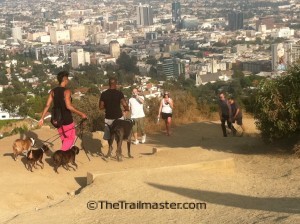 Runyon Canyon: Expect lots of two-legged and four-legged company on your hike.