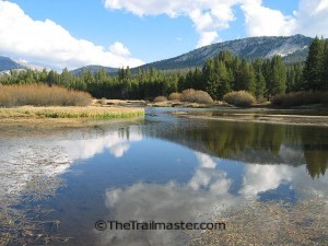 Summers to remember, hiking through the Tuolumne Valley.