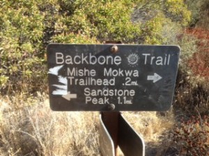 Follow the Backbone Trail to Sandstone Peak, high point of the Santa Monica Mountains.