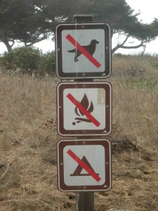 Trail Sign with a Trio of "Nos": no dogs, no campfires, no camping.