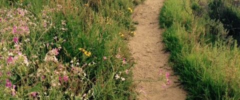 Choosing a Difficulty Level for Your Hike