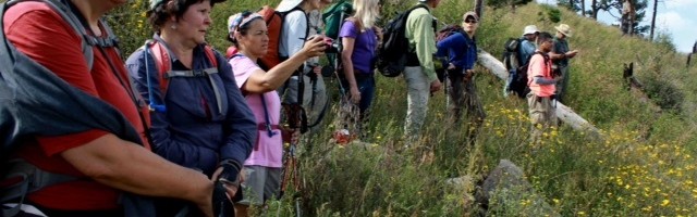 Hiking Improves Mental Health
