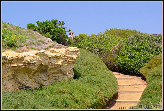 Crystal Cove State Park Bluffs