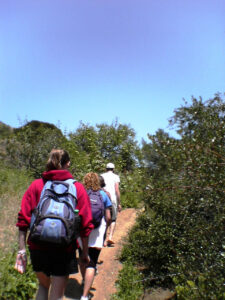 Hiking Topanga State Park, one of the gems of the Santa Monica Mountains.